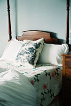 Toile pillow on bed